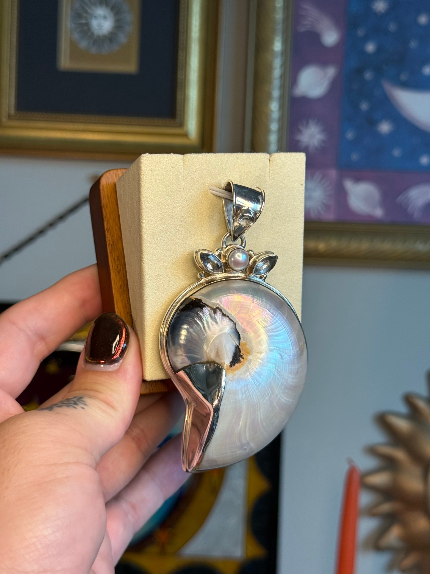 Nautilus Shell pendant