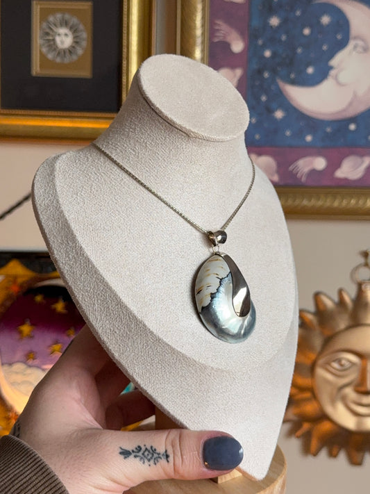 Ammolite shell  silver