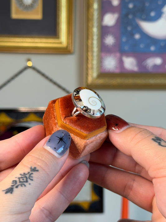 Abalone and shiva shell ring