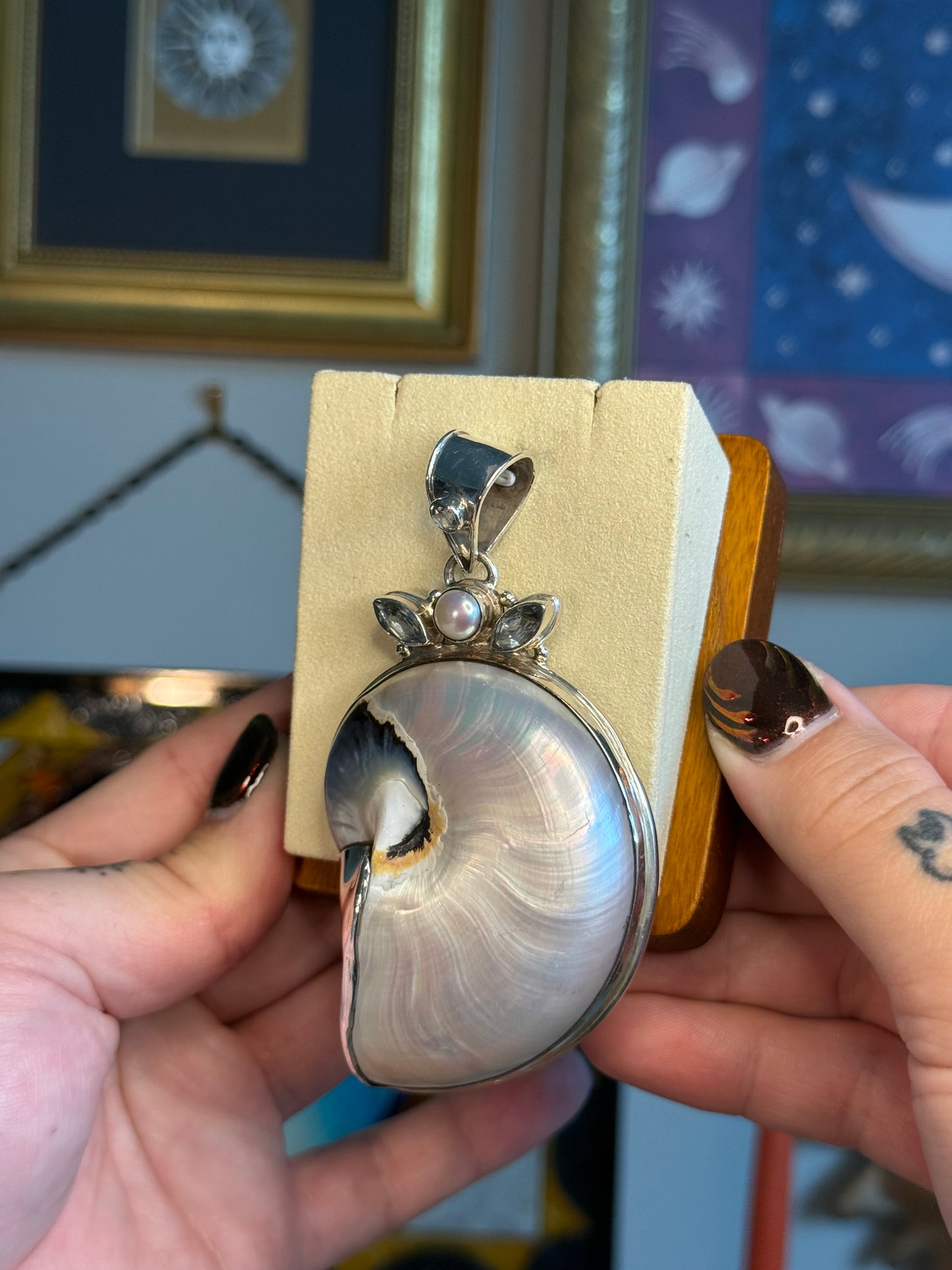 Nautilus Shell pendant