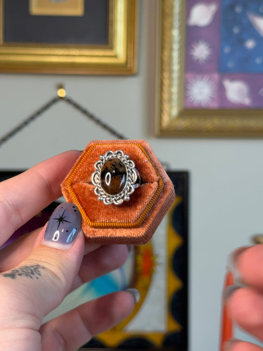 Petrified wood ring