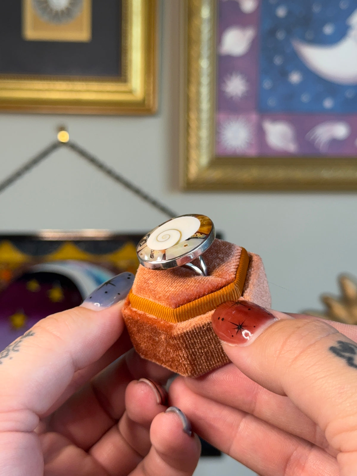 Abalone and shiva shell ring