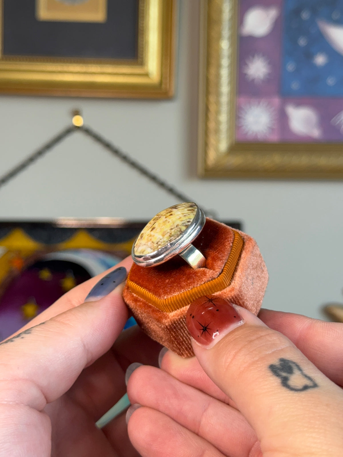 Fossilized wood ring