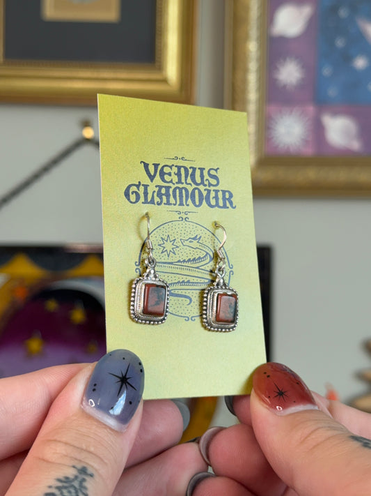Petrified wood earrings